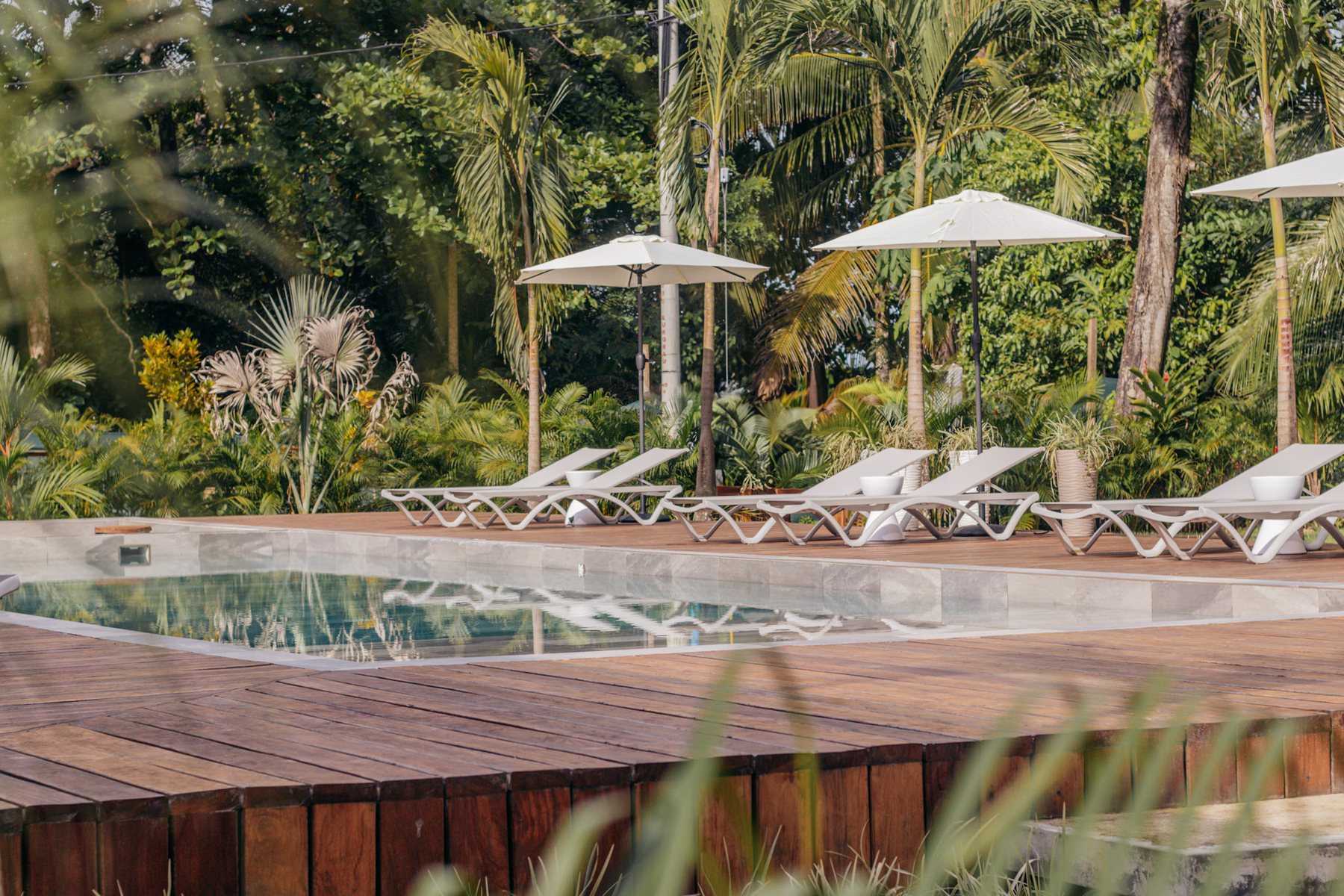 Piscina rodeada de vegetación
